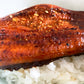 NEW!「Wahoo! BBQ SAUCE 200ml ボトル」1本と「THE ULTRA UMAMI SPICE 100g ボトル」2本の合計3本セット